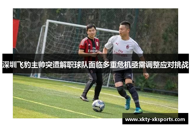 深圳飞豹主帅突遭解职球队面临多重危机亟需调整应对挑战