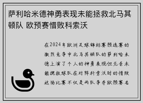 萨利哈米德神勇表现未能拯救北马其顿队 欧预赛惜败科索沃