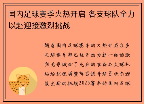 国内足球赛季火热开启 各支球队全力以赴迎接激烈挑战