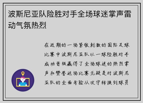 波斯尼亚队险胜对手全场球迷掌声雷动气氛热烈