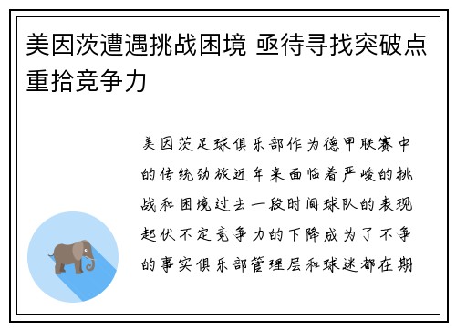 美因茨遭遇挑战困境 亟待寻找突破点重拾竞争力